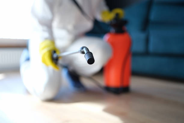 Best Real Estate Mold Inspection  in Converse, TX